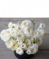 A beautiful day  White ranunculus 
