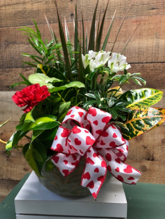 A Big Hug Dish Garden with fresh flowers