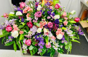 A Burst of Purple 