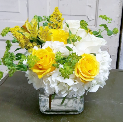 Sweet Sunrise  Cube Arrangement