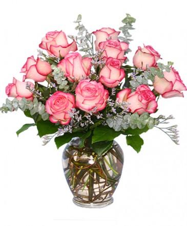 A DAZZLING DOZEN Bi-Colored Roses in Edmonton, AB | PETALS ON THE TRAIL
