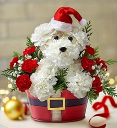 a-DOG-able Christmas Christmas