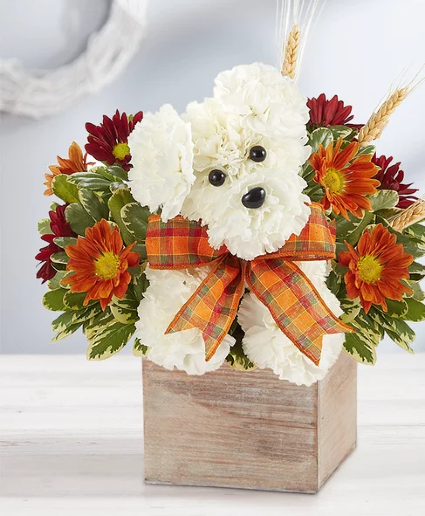 A-Dog-Able for Fall 1800-Flowers in Haltom City, TX - Jasmine Gardens