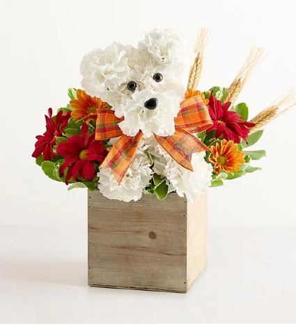 a-DOG-able for Fall 