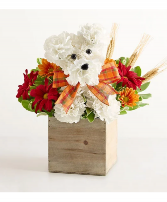 A Dog-able for Fall 