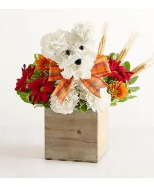 A Dog-able for Fall 