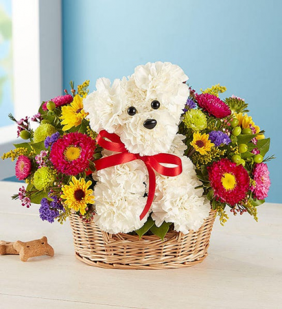 a-DOG-able in a basket  174311 