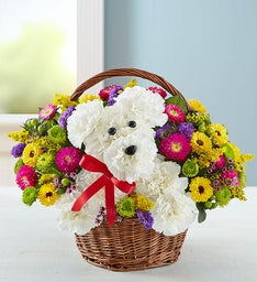 A-DOG-ABLE IN A BASKET 