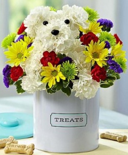 A Dog-Able  Treats Canister