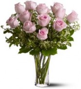 A Dozen Lavender Roses 