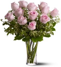 A Dozen Lavender Roses 