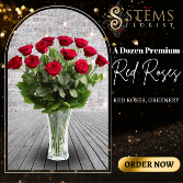 A Dozen Premium Red Roses 