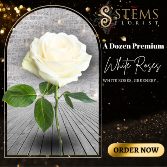 A Dozen Premium White Roses 