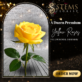 A Dozen Premium Yellow Roses 