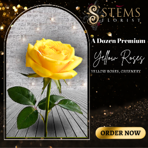 A Dozen Premium Yellow Roses 