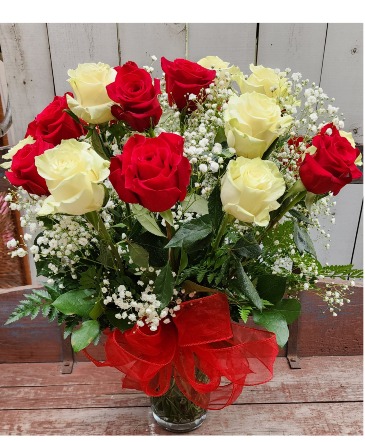 A Gorgeous 2 Dozen Roses Vase Arrangement  in Whitehall, MI | WHITE LAKE GREENHOUSES FLORAL