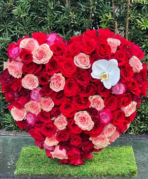 A heart in love Heart