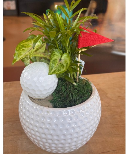 A Hole In One For Dad! Keepsake Green Plant
