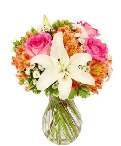 A Lily Full of Fun 