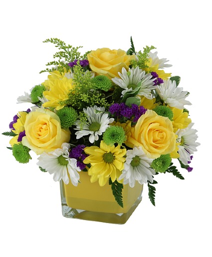 A Little Sunshine Arrangement