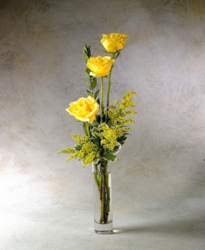 A Little Sunshine for You 