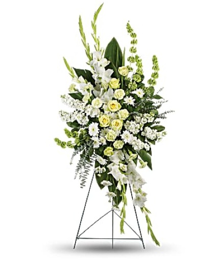 A Magnificent Life Spray 