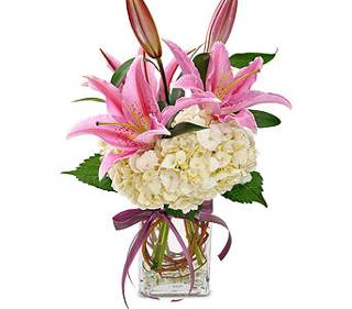 A Mother's Love Mother's Day