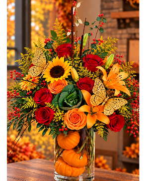 A Pumpkins Wish Call Us for Faster Service & Daily Specials: (915) 303-8500 Text Us to Order Anytime: (915) 505-3708 Your trusted source for Flowers & Delivery in El Paso TX 