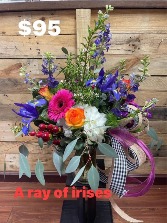 A ray of irises  flowers bouquet