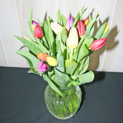 A TON OF TULIPS Medium Mixed Colors