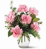 Simply Pink - 00008 