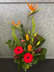 A Touch of Tropics Arrangement