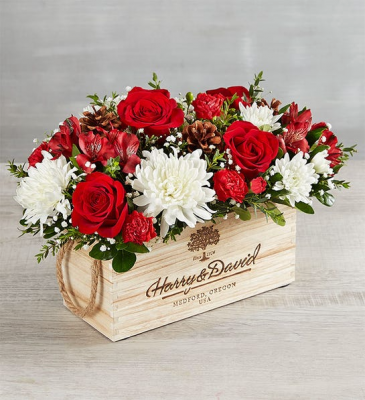 Let's Celebrate! With a Dash of "2026 a Terrific Year to Come!!!" in Gainesville, FL | PRANGE'S FLORIST- Sara & Lilli V