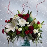 A Winter Wonderland!! 