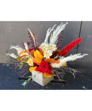 A Wyoming Autumn Designers Choice