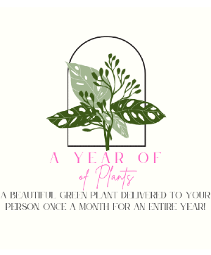 A year of Plants Green Plants