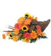B-11 Breathtaking cornucopia. 