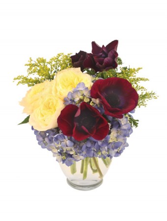 Abracadabra! Bouquet in Mount Airy, NC | CREATIVE DESIGNS FLOWERS & GIFTS