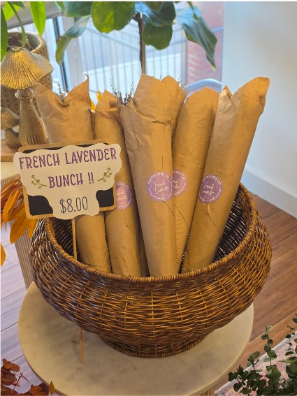 Lavender Bunch 