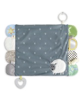 Activity Lovey- Lamb Gift