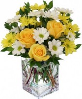 "Sunshine" (E)  Yellow roses with yellow and white daisies arranged in a rectangular vase  or another clear vase. !