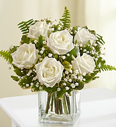 6 Beautiful Premium White Roses (R)   arranged in a cube vase with baby's breath.