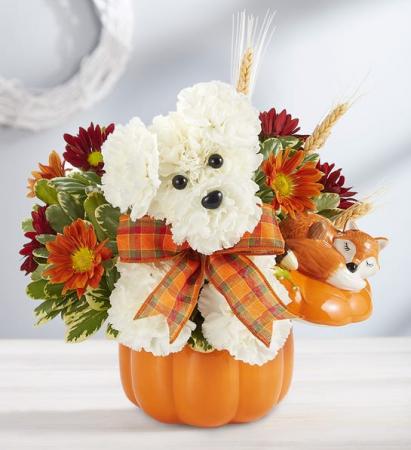 ADOGABLE FOR FALL 