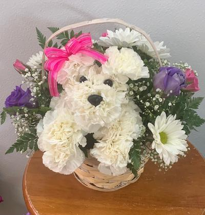 Adogable  Novelty basket