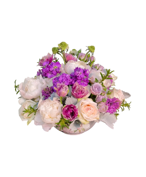 ADORING PURPLE 