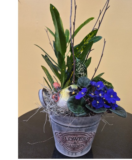 African Violet Planter 