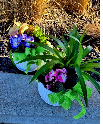 African violets dishgarden 