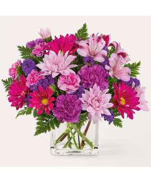 Afternoon Tea R5569s Arrangement