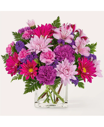 Afternoon Tea R5569s Arrangement