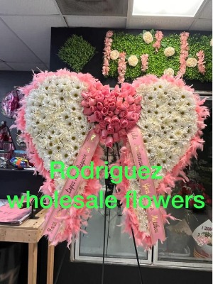 ANGEL WINGS PINK AND WHITE 